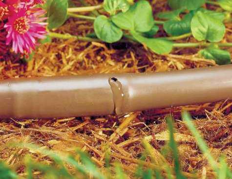Commercial Drip Irrigation Systems | Landscape Drip Systems | Toro | Toro