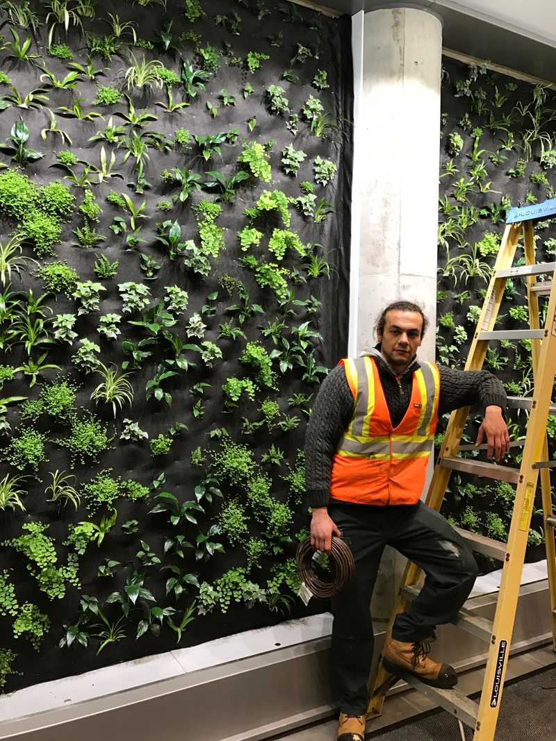 Irrigation Toîts Vert