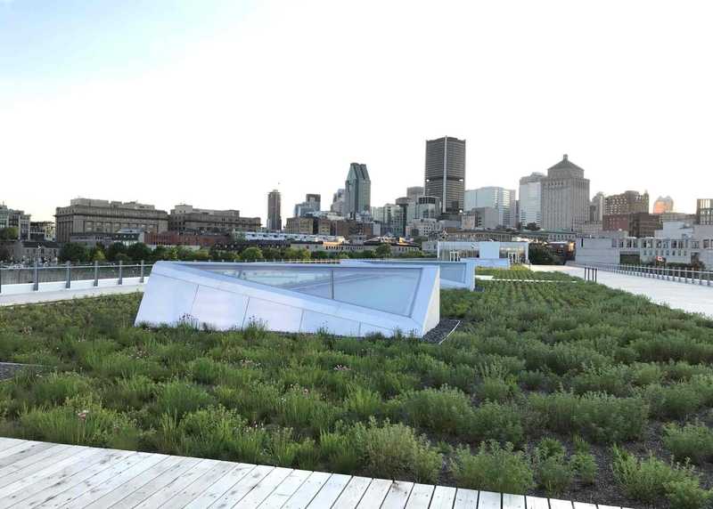 Irrigation de Toîts vert